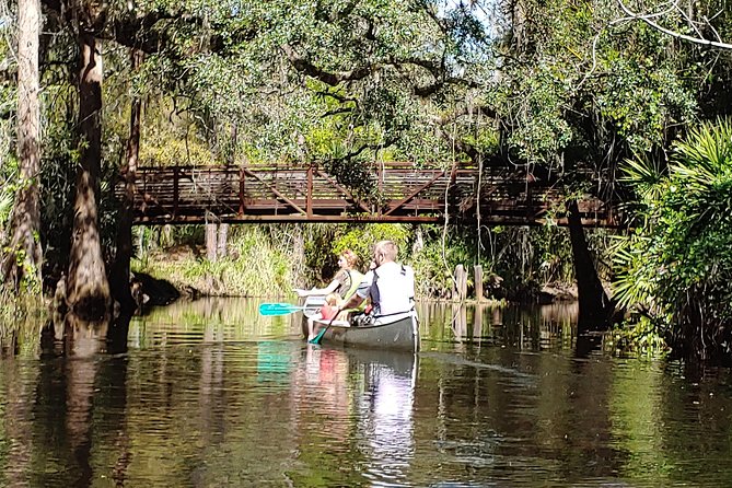 Cypress Forest Guided Kayak Nature Eco-Tour - Exploring Shingle Creeks Headwaters
