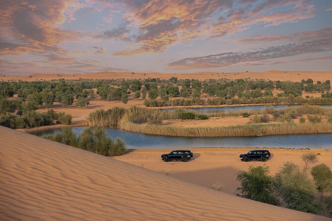 Desert Conservation Wildlife Drive & Breakfast at Al Maha Resort - Explore Unique Desert Habitat