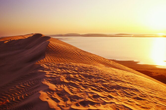 Desert Safari and Inland Sea(Private Tour) - Highlights of the Desert Safari