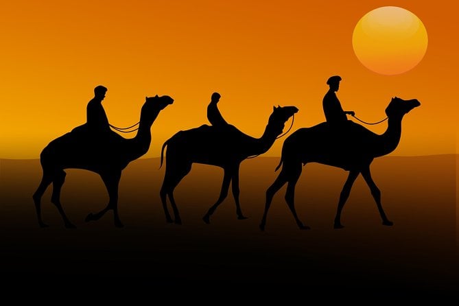 Desert Safari In Dubai With Dune Bashing Ride, BBQ Dinner - Camel Riding and Sandboarding
