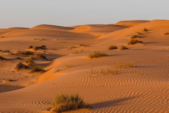 Desert Safari Sharing Tours - Included Experiences