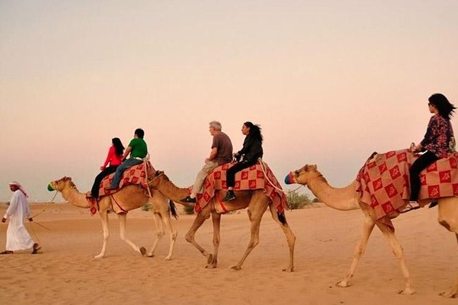 Desert Safari With Quad Bike Sand Boarding and a Camel Ride - Dune Bashing in 4x4 SUV