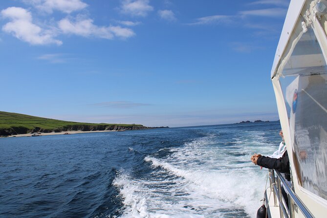 Dingle Dolphin Blasket Adventures - Scenic Blasket Islands Boat Cruise