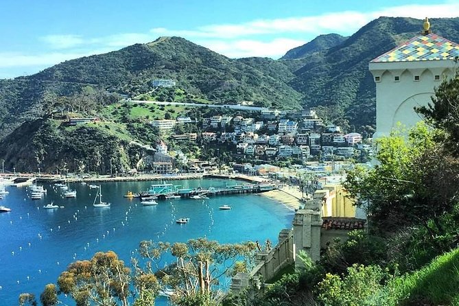 Discover Avalon: Catalina Scenic Tour - Inclusions and Tour Details