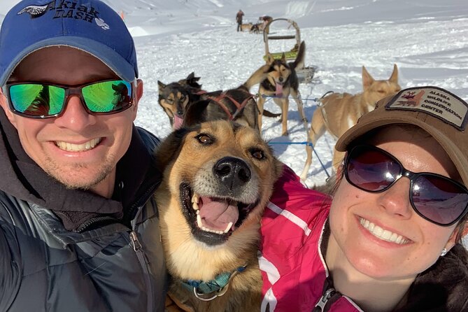 Dog Sledding Adventure in Willow, Alaska - Kennel and Private Trails