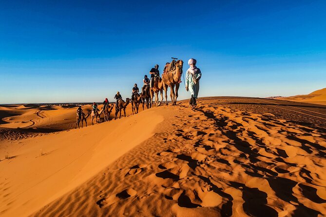 Doha Sunrise Desert Safari Tour| Dune Bashing| Inland Sea Visit| Camel Riding - Pickup and Duration