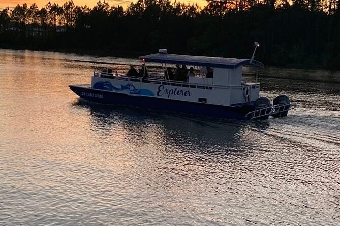 Dolphin and Nature Sunset Cruise From Orange Beach - Spotting Wildlife Along the Way