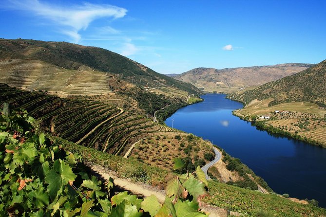 Douro Valley Wine Tour: 3 Vineyard Visits, Wine Tastings, Lunch - Douro Valley Vineyards