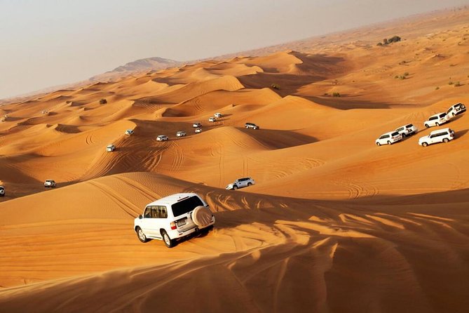 DXB Red Dune Desert Safari, Sand Boarding, Camel Ride, Live Shows, BBQ Dinner - Activities Offered
