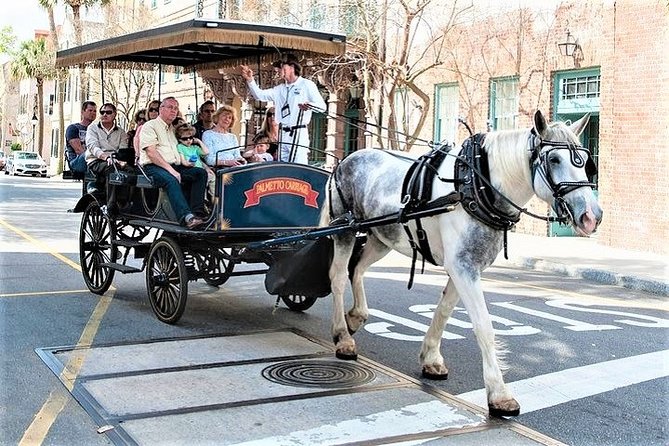 Evening Horse-Drawn Carriage Tour of Downtown Charleston - Meeting and Pickup Information