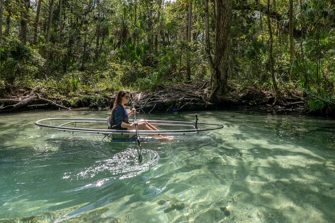 Explore The Chaz: Exclusive Clear Kayak Tours Near Crystal River - Exploring the Chassahowitzka River