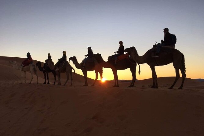 Fez to Marrakech via Merzouga Desert - 3 Day Desert Tour - Highlights of the Tour
