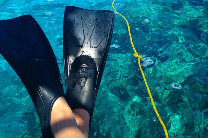 Florida Keys Reef Snorkel & Sail Adventure - Inclusions and Exclusions