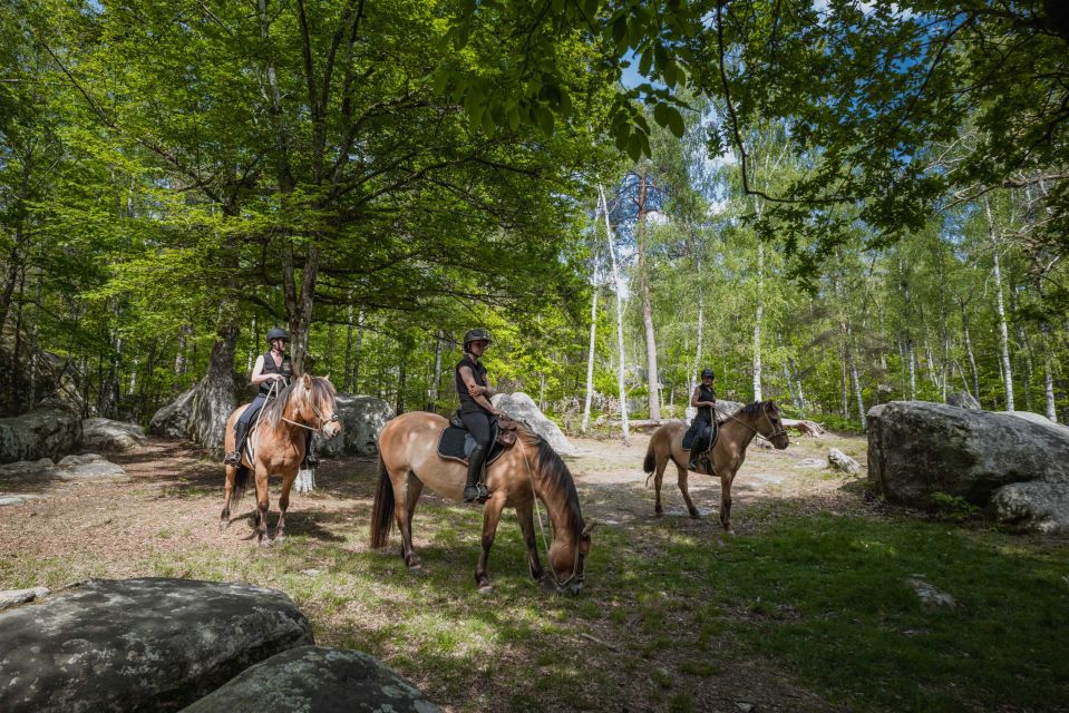Fontainebleau: Horse-riding, Gastronomy & Château - Horse Riding in Fontainebleau Forest