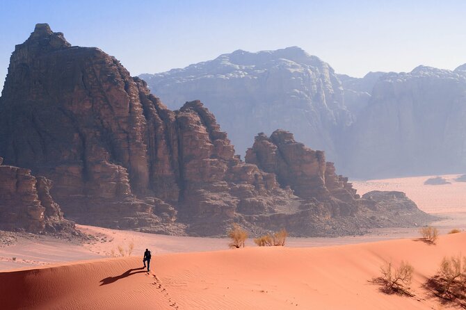 From Amman: Private Full Day Petra and Wadi Rum - Highlights of the Itinerary