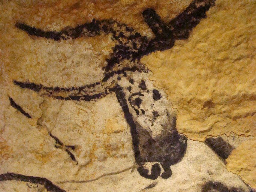 From Bordeaux: Lascaux and Dordogne Valley Private Tour - Highlights of the Tour