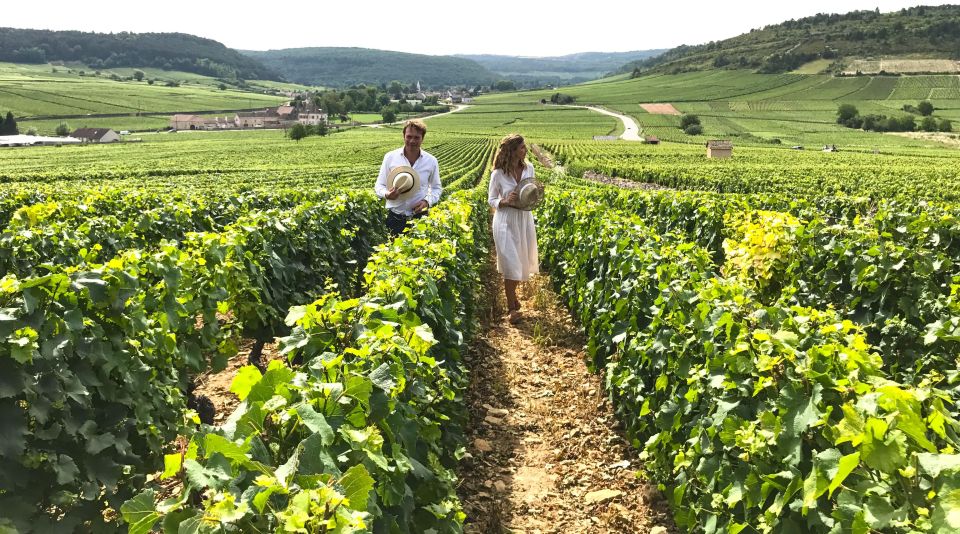 From: Dijon/Beaune: Burgundy Region Winery Tour With Lunch - Itinerary Options