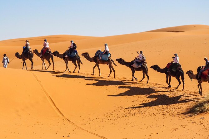 From Fes to Marrakech : 3 Days Tour via the Desert of Merzouga - Inclusions and Exclusions
