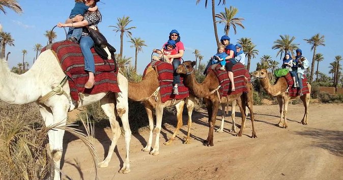 From Marrakech: Palm Grove Quad Bike and Camel Ride Tour - Quad Bike Adventure