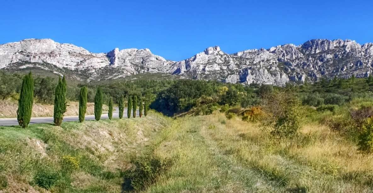From Marseille: Full-Day Les Baux De Provence Wine Tour - Highlights of the Day