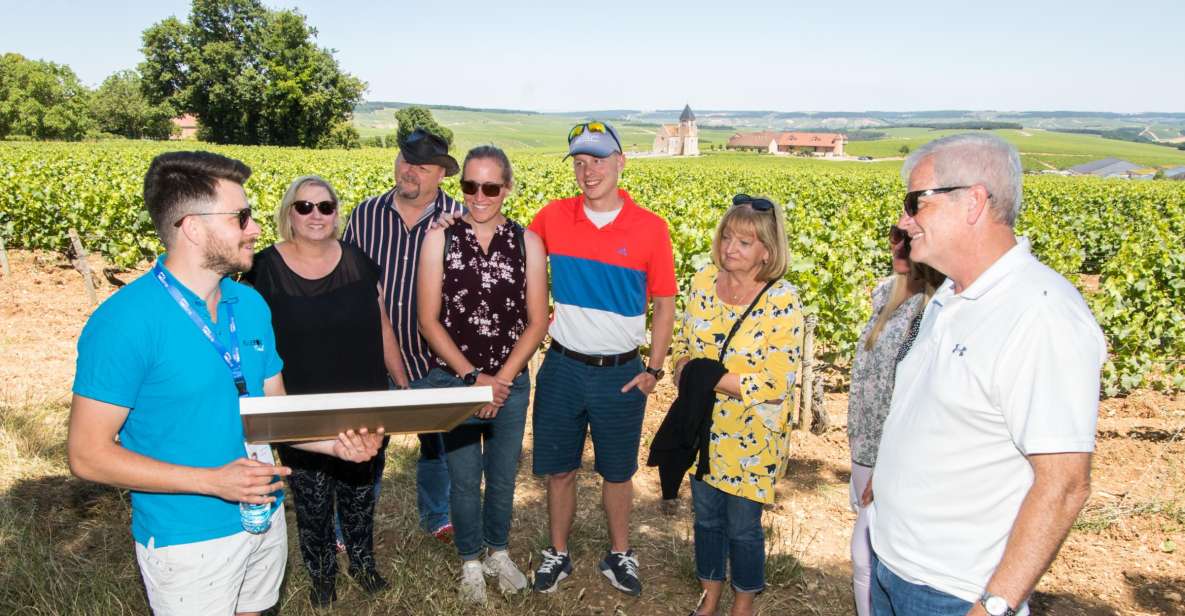 From Paris: Burgundy Region Winery Tour With Tastings - Discover Burgundys Winemaking Heritage