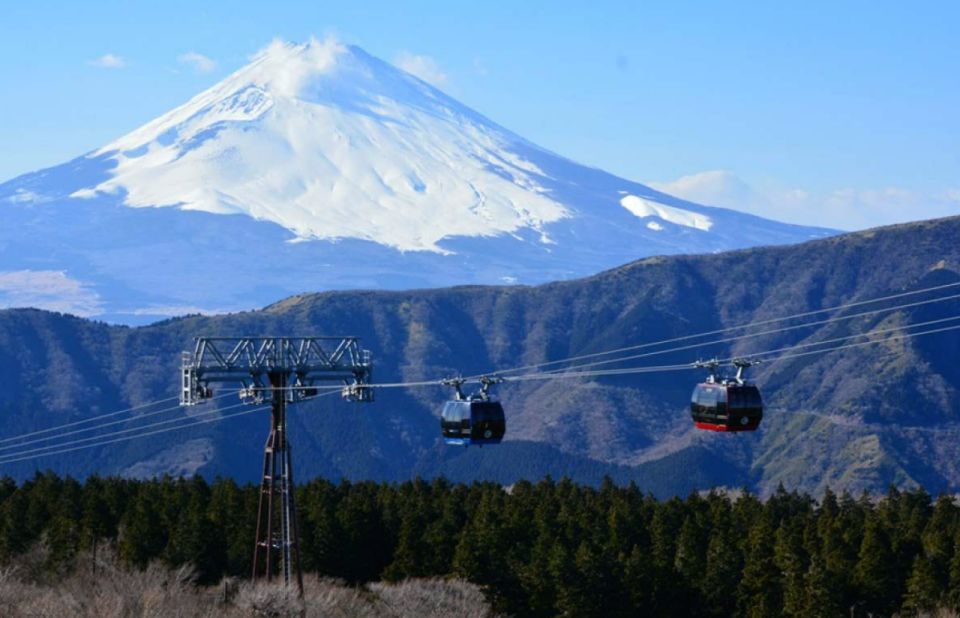 From Tokyo: 10-hour Hakone Private Custom Tour - Highlights of the Tour