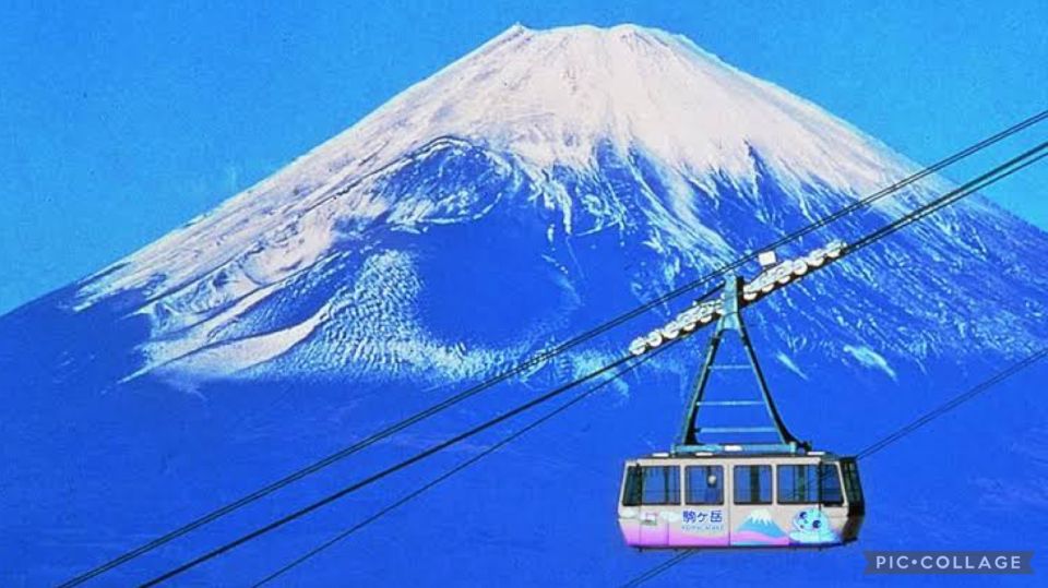 From Tokyo/Hakone/Fuji: Hakone & Mt. Fuji Day Trip W/Pickup - Highlights of the Tour