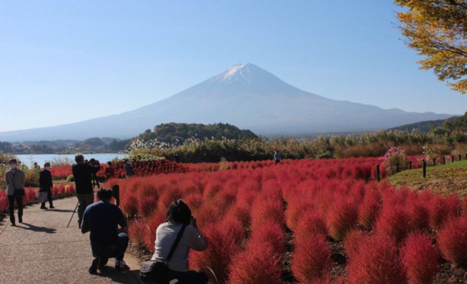 From Tokyo: Mount Fuji Private Sightseeing Day Trip - Included & Optional Activities