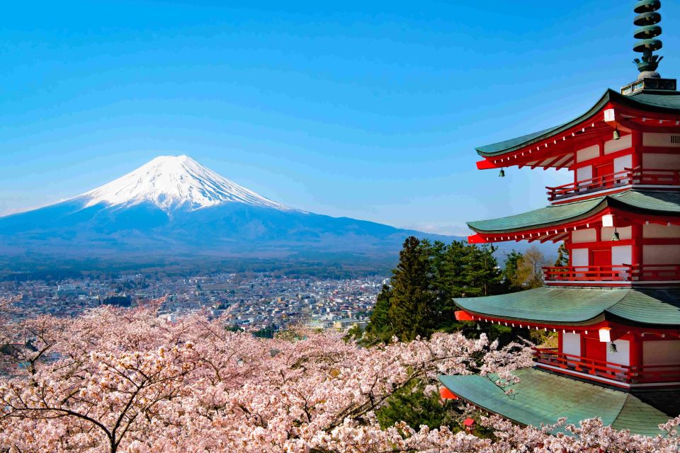 From Tokyo MT Fuji Fully Customize Tour With English Driver - Itinerary Highlights