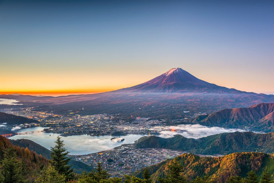 From Tokyo: Mt. Fuji or Hakone Private Sightseeing Day Trip - Spiritual Experience at Kitaguchi Hongu Fuji Sengen Shrine