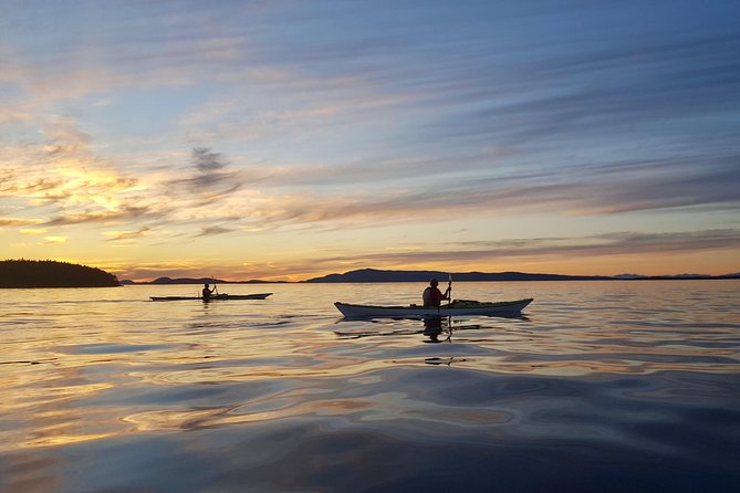 Full Day San Juan Island Kayaking Adventure - Included in the Experience