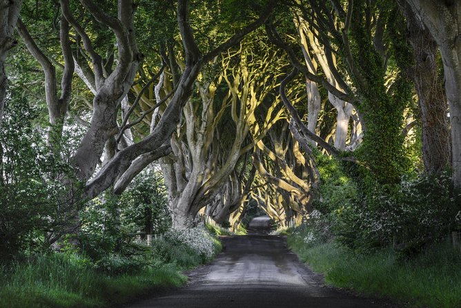 Game of Thrones and Giants Causeway Full-Day Tour From Belfast - Included in the Tour
