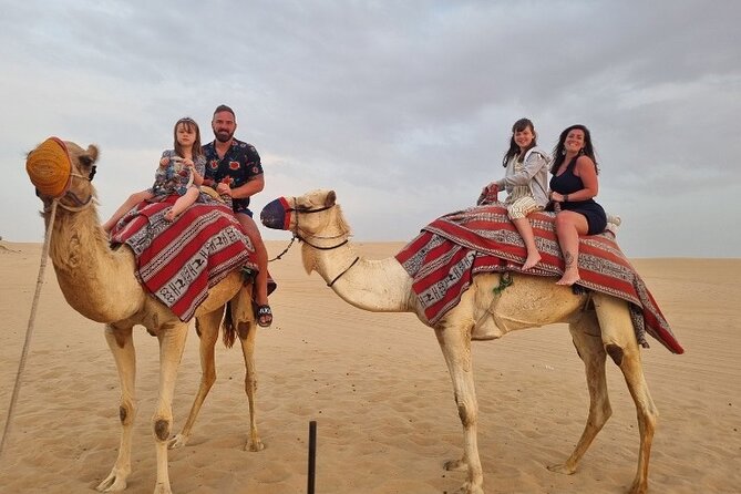 Guided Desert Safari With Dinner and Quad Biking in Dubai - Inclusions and Exclusions