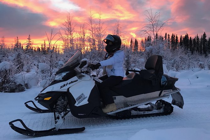 Guided Fairbanks Snowmobile Tour - Additional Information