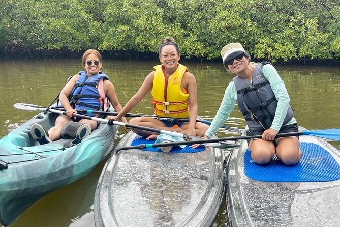 Guided Island Eco Tour - CLEAR or Standard Kayak or Board - Meeting and Pickup