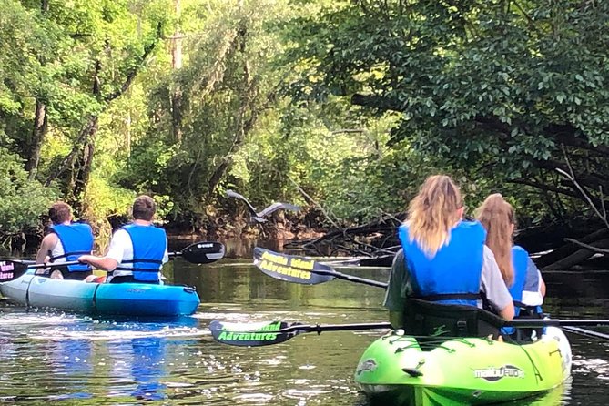 Guided Kayak Eco Tour: Real Florida Adventure - Whats Included