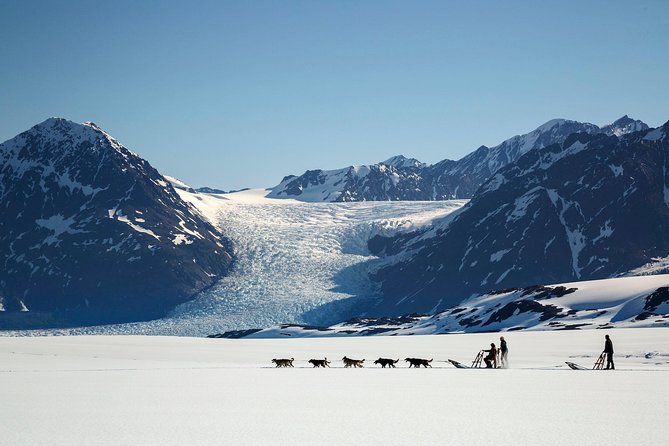 Helicopter Glacier Dogsled Tour + Lower Glacier Landing - ANCHORAGE AREA - Whats Included