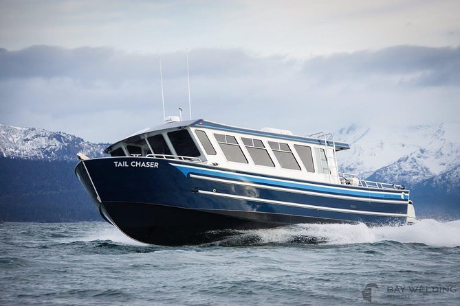 Hoonah Whale-Watching Cruise - Inclusions