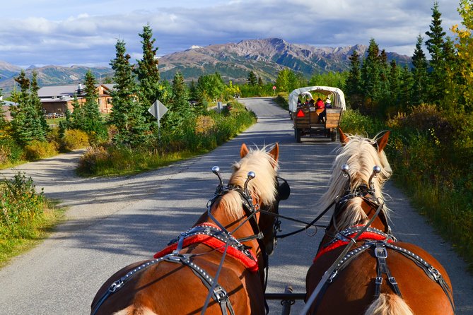 Horse-Drawn Covered Wagon Ride With Backcountry Dining - What to Expect