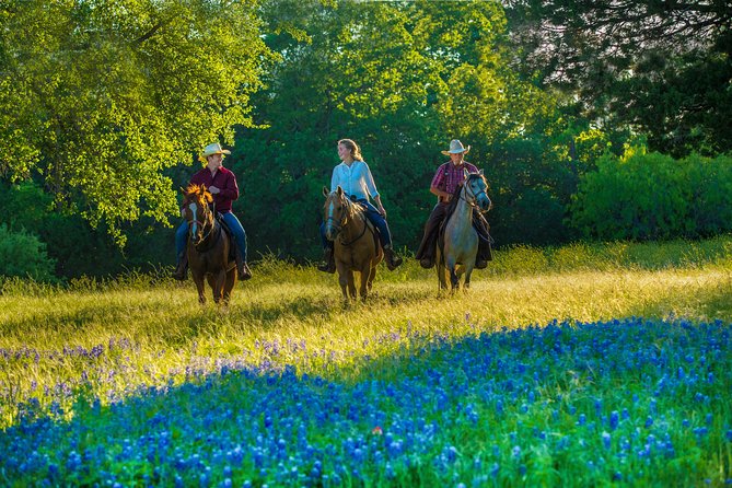 Horseback Riding on Scenic Texas Ranch Near Waco - Reviews