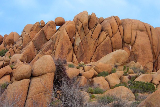 Joshua Tree National Park Air-Conditioned Tour - Legendary Giant Boulders