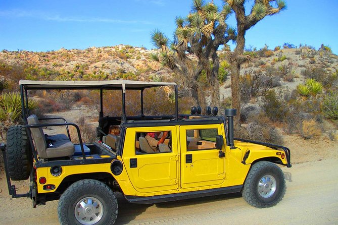 Joshua Tree Open Air Hummer Adventure - Discovering Iconic Sights