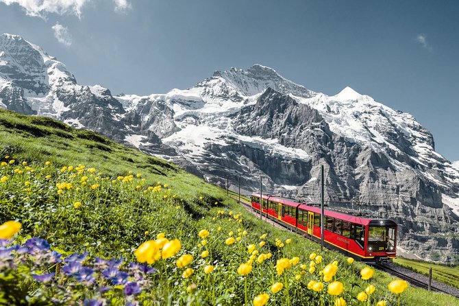 Jungfraujoch: Top of Europe Day Trip From Zurich - The Cogwheel Train Journey