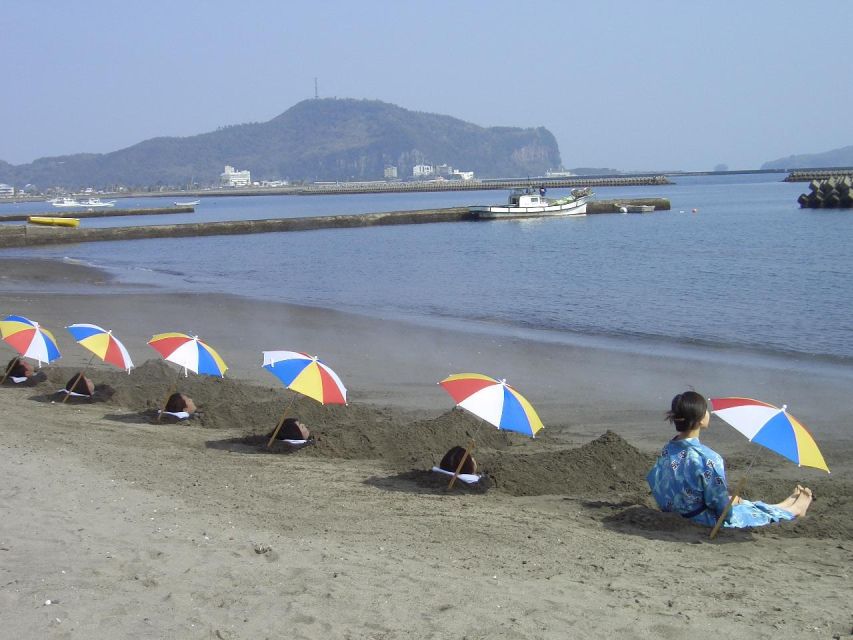 Kagoshima: Samurai History and Hot Sand Baths Private Tour - Chiran Samurai Residences