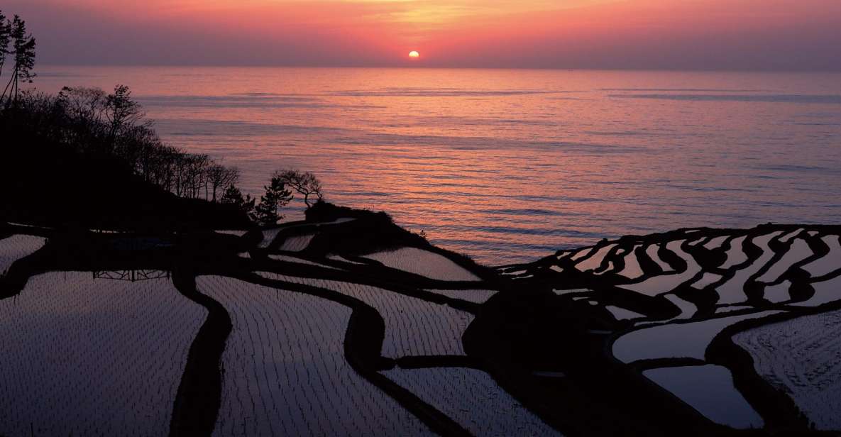 Kanazawa: Noto Peninsula Private Day-Tour - Scenic Senmaida Rice Fields