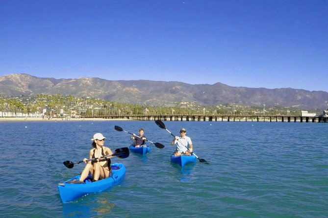 Kayak Tour of Santa Barbara With Experienced Guide - What To Expect
