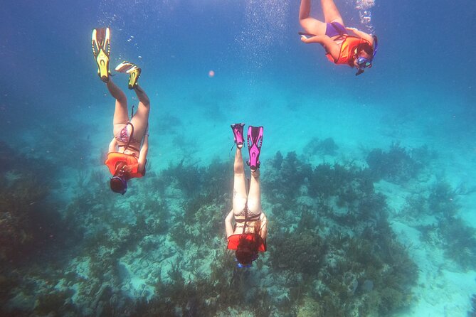 Key Largo Two Reef Snorkel Tour - All Snorkel Equipment Included! - What To Expect