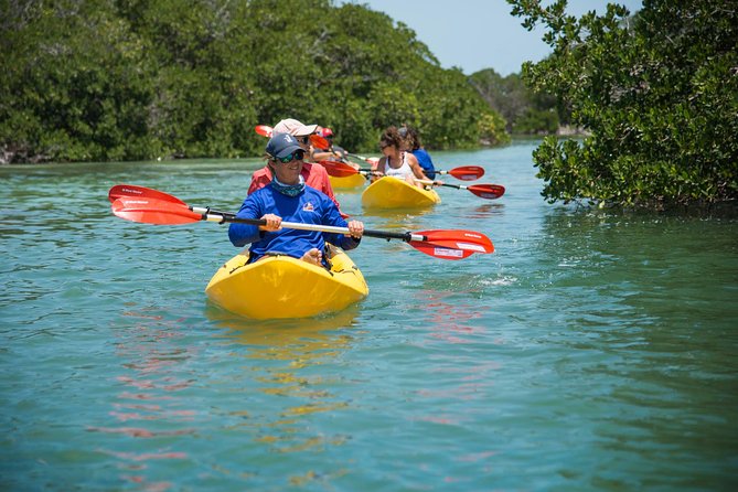 Key West Schooner Backcountry Eco-Tour: Sail, Snorkel & Kayak - Included in the Experience