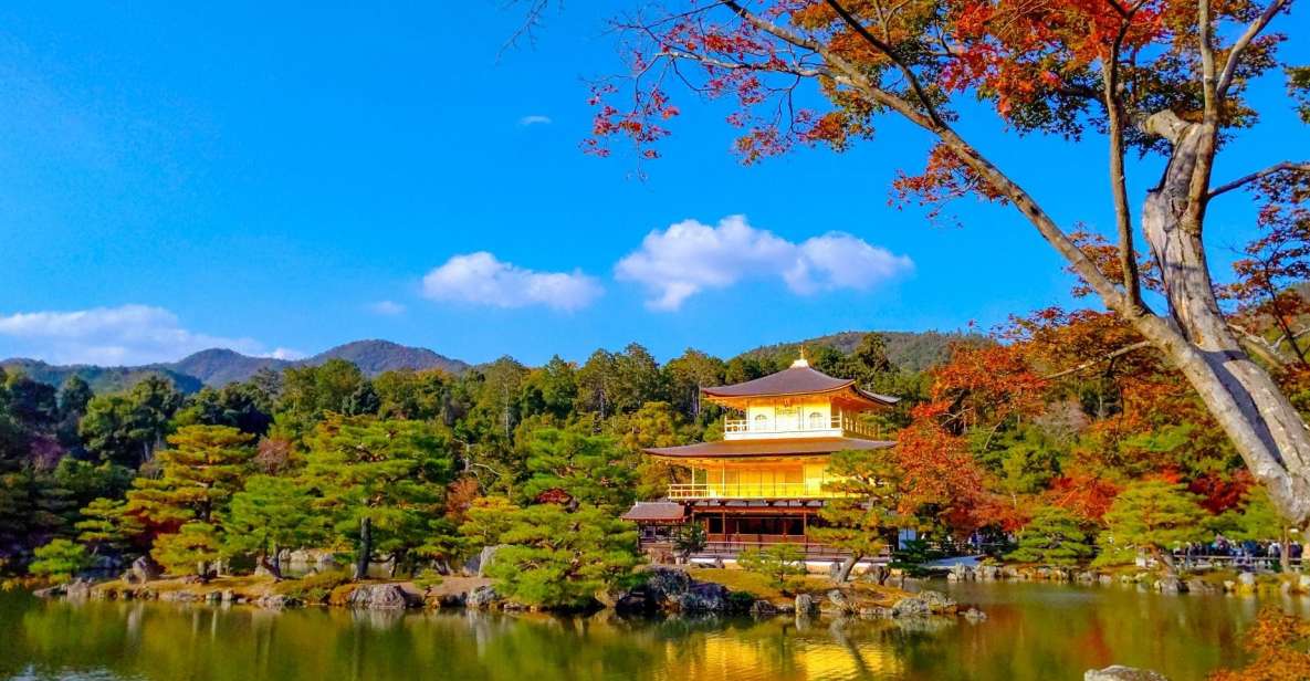 Kyoto: Private Customizable Day Trip by Car - Trip Highlights