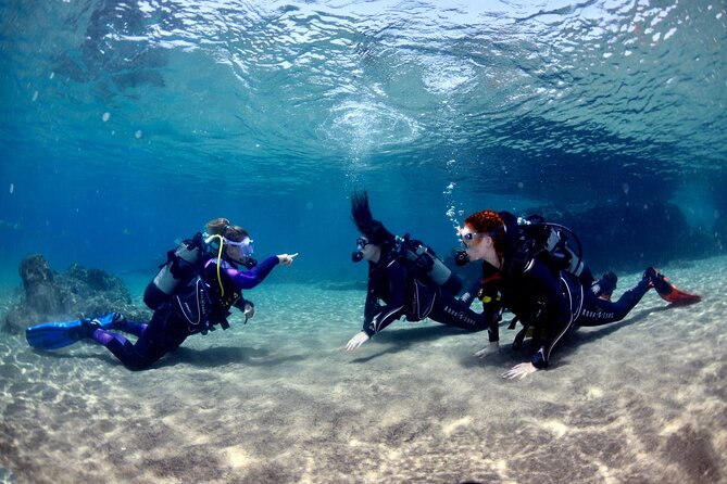 Lanzarote Introductory Scuba Diving Experience - Scuba Diving Experience Highlights
